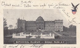 CP US - NEW YORK - BRONX PARK - BOTANICAL MUSEUM -1902 - Bronx