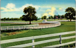 Kentucky Typical Stock Farm - Sonstige & Ohne Zuordnung