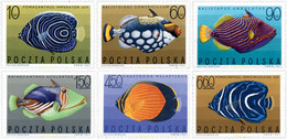 230548 MNH POLONIA 1967 PECES EXOTICOS - Ohne Zuordnung