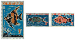 36766 MNH WALLIS Y FUTUNA 1963 PECES - Usados