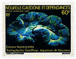 44486 MNH NUEVA CALEDONIA 1980 ACUARIO DE NOUMEA - Gebruikt