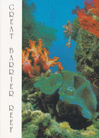 Australia - Queensland - Great Barrier Reef - Clam And Corals - Great Barrier Reef