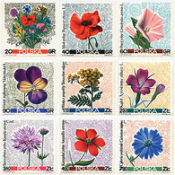 94361 MNH POLONIA 1967 FLORES SILVESTRES - Non Classés