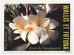 92972 MNH WALLIS Y FUTUNA 1984 FLORES DE WALLIS Y FUTUNA - Used Stamps