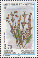 93196 MNH SAN PEDRO Y MIQUELON 1996 MUSGOS Y LIQUENES - Gebruikt