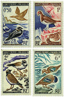 36942 MNH SAN PEDRO Y MIQUELON 1963 AVES - Gebraucht