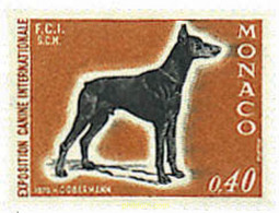 51008 MNH MONACO 1970 EXPOSICION CANINA INTERNACIONAL - Sonstige & Ohne Zuordnung