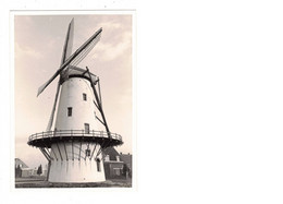 Wevelgem    FOTO  Van De Van Butsele's Molen      1980   MOLEN  MOULIN - Wevelgem