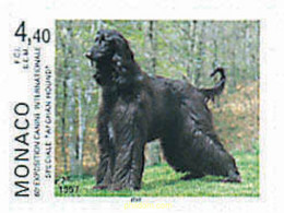 51037 MNH MONACO 1996 60 EXPOSICION INTERNACIONAL CANINA - Sonstige & Ohne Zuordnung