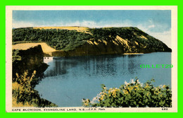 CAPE BLOMIDON, NOVA SCOTIA - EVANGELINE LAND - C.P.R. PHOTO - CANADIAN ART DEEPTONE SERIES - - Altri & Non Classificati