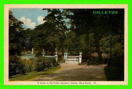 HALIFAX, NOVA SCOTIA - A SCENE IN THE PUBLIC GARDENS - ANIMATED WITH WOMEN - PECO - - Halifax