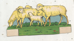 Découpi , Avec Support , LA FERME,  Moutons , Agneaux - Tiere