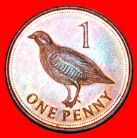 * GREAT BRITAIN (2012-2013): GIBRALTAR ★ 1 PENNY 2012! ELIZABETH II (1953-2022)★ LOW START ★ NO RESERVE! - Gibraltar