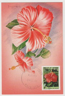 986 - Wallis Et Futuna /  Premier Jour MATA-UTU : Fleurs, Hibiscus, 2 Déc. 91 (Illustration O. Baillais). - Wallis Et Futuna