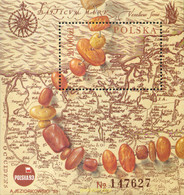 168905 MNH POLONIA 1993 POLSKA 93. EXPOSICION FILATELICA INTERNACIONAL - Non Classés