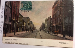 Cpa, écrite En 1906, Charlotte Street, Sydney, Animée, Attelages éd Albert Mc Leod, Canadian Souvenir Postcard - Cape Breton