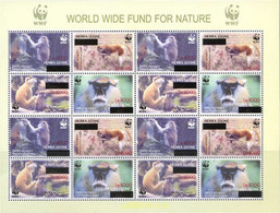 214901 MNH SIERRA LEONA 2008 MONOS - Chimpanzees