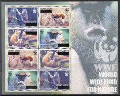 214902 MNH SIERRA LEONA 2008 MONOS - Chimpanzés