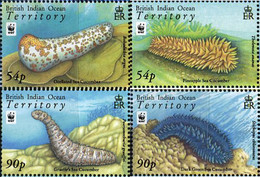 218804 MNH OCEANO INDICO BRITANICO 2008 VIDA MARINA - Territorio Britannico Dell'Oceano Indiano