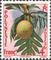 339152 HINGED POLINESIA FRANCESA 1959 FRUTOS - Oblitérés