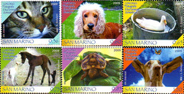 240347 MNH SAN MARINO 2009 CONCURSO DE FOTOS DE VUESTRO ANIMAL DE COMPAÑIA - Gebruikt