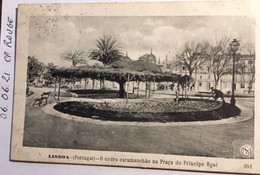Cpa, écrite En 1909 LISBOA - O Cedro Caramanchão Na Praça Do Principe Real (Ed Martins E Silva 951) - PORTUGAL - Lisboa