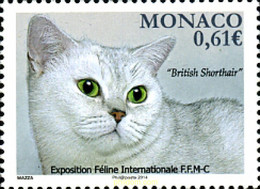 313790 MNH MONACO 2013 GATO - Sonstige & Ohne Zuordnung