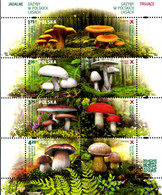 328188 MNH POLONIA 2014 SETAS - Ohne Zuordnung