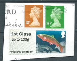 GROSBRITANNIEN GRANDE BRETAGNE GB 2013 POST&GO LAKES:ARCTIC CHAR 1ST CLASS UP To 100g PAPER SG FS69 MI ATM 56 YT TD64 - Post & Go (distribuidores)