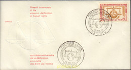 574203 MNH WALLIS Y FUTUNA 1963 15 ANIVERSARIO DE LA DECLARACION UNIVERSAL DE LOS DERECHOS DEL HOMBRE - Used Stamps