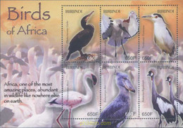 639072 MNH BURUNDI 2004 FAUNA - AVES - Unused Stamps