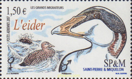 227455 MNH SAN PEDRO Y MIQUELON 2007 AVE MIGRATORIA - Used Stamps