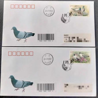 China Covers,2022-25 The First Day Of Dove (Beijing Heping Lane) - Storia Postale