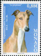 213984 MNH MONACO 2008 EXPOSICION CANINA INTERNACIONAL 2008 - Other & Unclassified