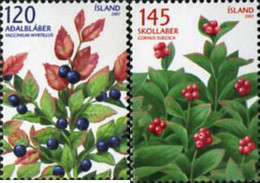 206315 MNH ISLANDIA 2007 ARANDANOS SILVESTRES - Lots & Serien