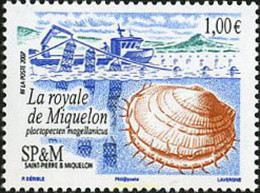 203385 MNH SAN PEDRO Y MIQUELON 2007 CONCHA - Used Stamps