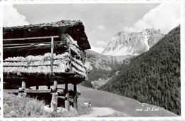 St Luc - 1646 - Old Postcard - Switzerland - Unused - Saint-Luc