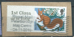 GROSBRITANNIEN GRANDE BRETAGNE GB POST&GO 2015 WINTER FUR AND FEATHERS:RED SQUIRREL 1ST CLASS Up To 100g PAPER SG FS146 - Post & Go (automaten)