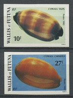 WALLIS FUTUNA  1982 N° 291 Et 294 ** Non Dentelés Neufs MNH Superbes Coquillages Shells Cypraea Talpa Et Carneola - Imperforates, Proofs & Errors