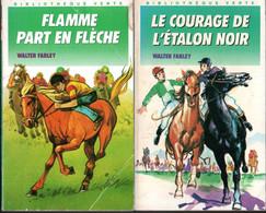 Lot  2 Romans * Flamme Part En Flèche & Le Courage De L'étalon Noir - Bibliotheque Verte