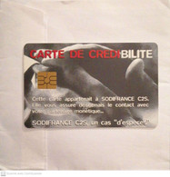 Carte De Démonstration : Carte De Credibilite - Ausstellungskarten