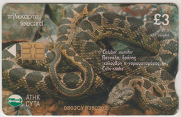 CYPRUS - Coin Snake (Coluber Nummifer) ,0802CY, 05/02, Tirage 120.000, Used - Zypern