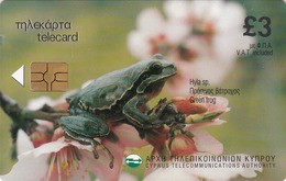CYPRUS - Green Frog (Hyla Sp.) ,0701CY, 10/01, Tirage 155.000, Used - Zypern