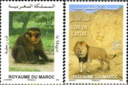 190062 MNH MARRUECOS 2006 FAUNA - Schimpansen