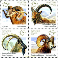 301322 MNH RUSIA 2013 FAUNA DE RUSIA. CABRAS Y CARNEROS SALVAJES - Used Stamps