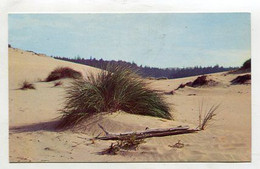 AK 093602 USA - Oregon Coast - Sand Dunes - Altri & Non Classificati