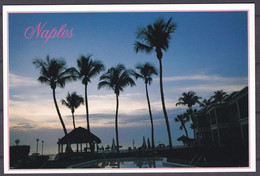 USA Florida Naples Tropischer Sonnenuntergang (N-248) - Naples