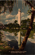 Florida Tampa Sulphur Springs Water Tower - Tampa