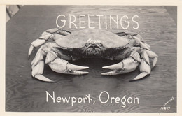 Newport Oregon, Greetings Message With Crab, C1940s/50s Vintage Real Photo Postcard - Altri & Non Classificati