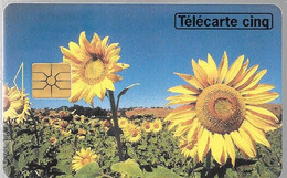 CARTE-PRIVEE-5U-GN62-GEMA-06/94-FLEURS-TOURNESOLS-Série 7001-Sans 2é Logo-NEUVE-TBE - 5 Einheiten